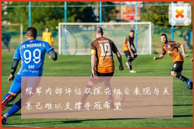 绿军内部评估双探花组合表现与关系已难以支撑夺冠希望
